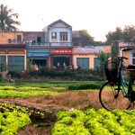 Parcourir 5000 km à vélo pour découvrir l’agriculture urbaine aux Etats-Unis et au Canada, c’est le projet d’« Agrovelocity ».