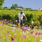 Saint-Émilion à vélo: du plaisir avant tout