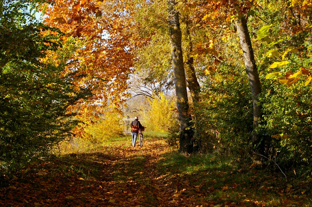 L'automne est une saison magnifique et propre aux sorties à vélo. Pour que cela reste un plaisir, veillez à bien choisir vos vêtements d'arrière-saison à vélo.