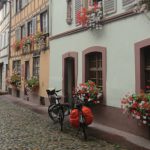 L’Alsace à vélo, c’est la formule parfaite pour des vacances qui allient balades nature, gastronomie et culture.